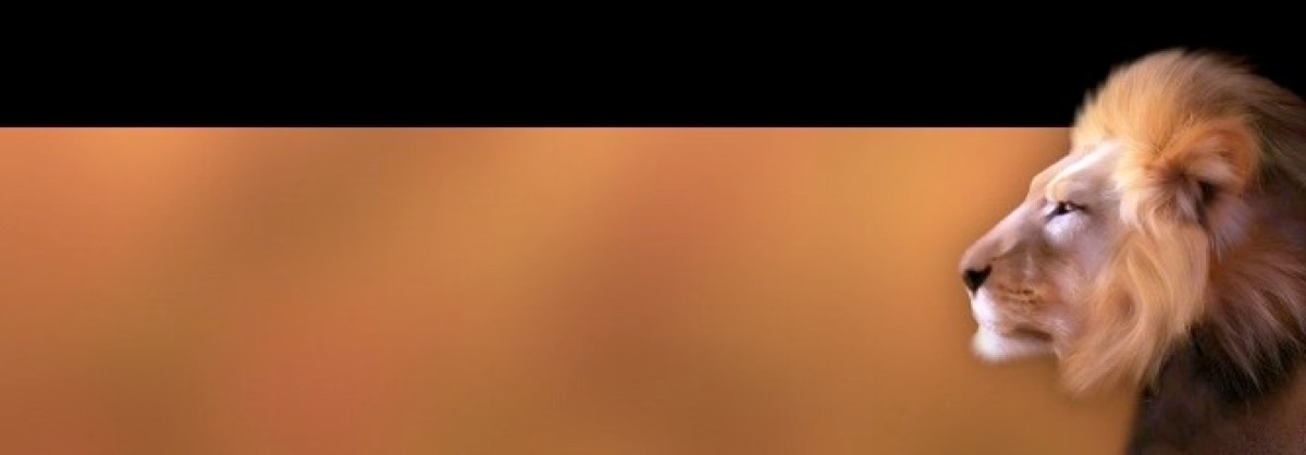 Lion Header